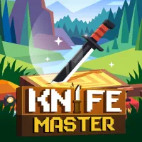 Play Knife Master
